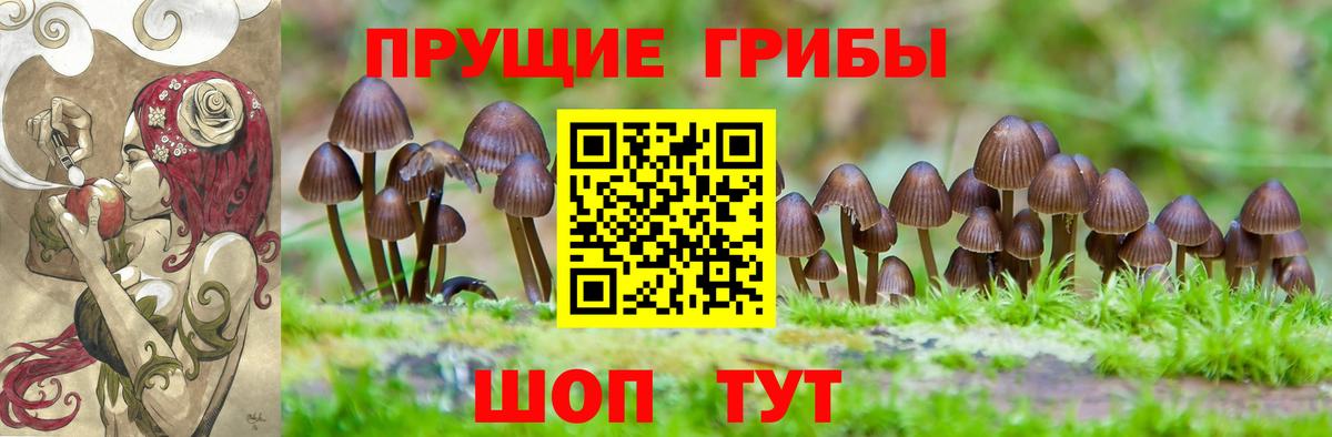 Галлюциногенные грибы мицелий  Вход с VPN  Нижнеудинск 